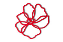 Silikon Pfannenuntersetzer Poppy | red