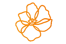 Silikon Pfannenuntersetzer Poppy | orange