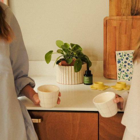 Selbstbewässernder Topf Paula M | creme