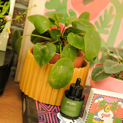 Selbstbewässernder Topf Paula M | gelb