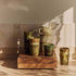 Becher VAN GOGH EDITION | Sunflowers