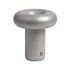 Tragbare Leuchte Glimps | frostet silver