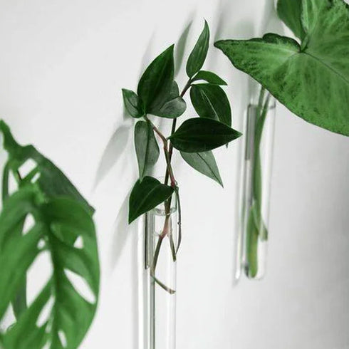 Magnetische mini-Vase | clear