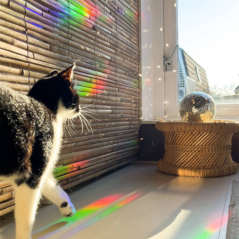 Regenbogen Maker | Regenbogen Prisma Effekt