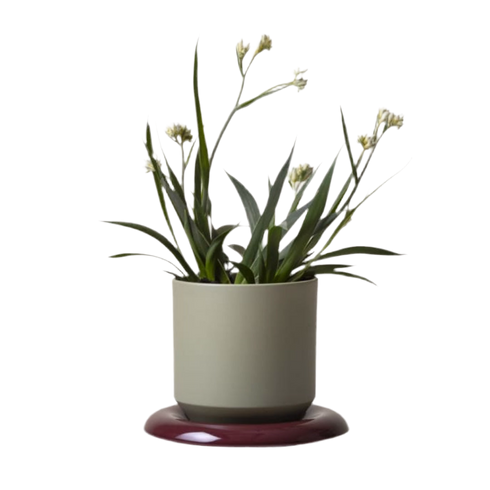 Unterteller für Lily | deep burgundy