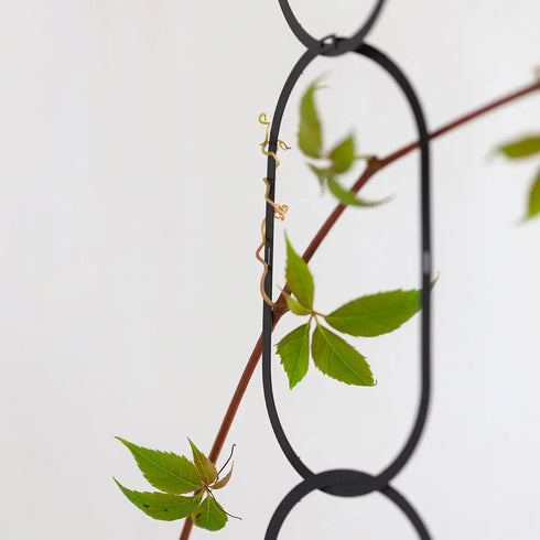 Rankhilfe Chain | black