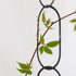 Rankhilfe Chain | black