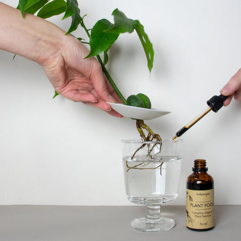 Bio Pflanzendünger | 50ml