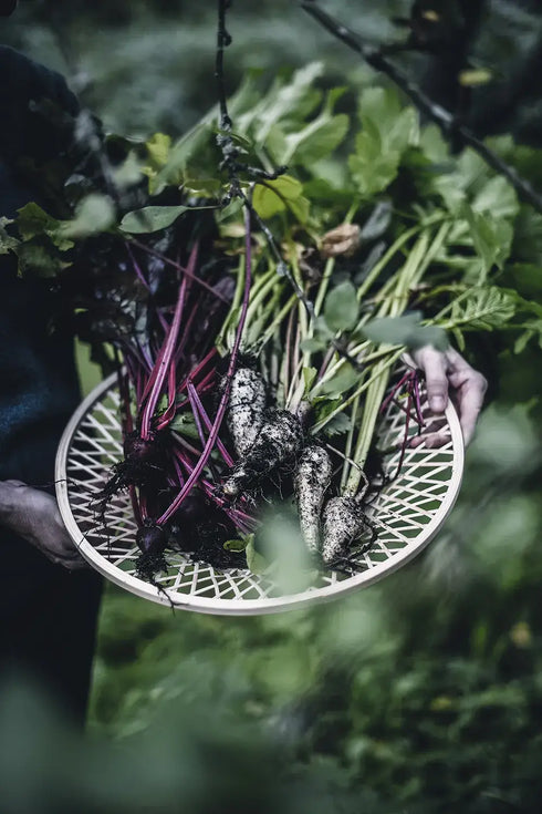 From Oven To Table | Die Kunst der Blech-Rezepte