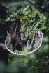 From Oven To Table | Die Kunst der Blech-Rezepte