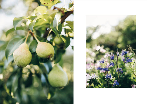 Knits from the garden | Stricken mit der Natur als Inspiration