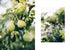 Knits from the garden | Stricken mit der Natur als Inspiration