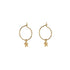 Hoops STAR | gold