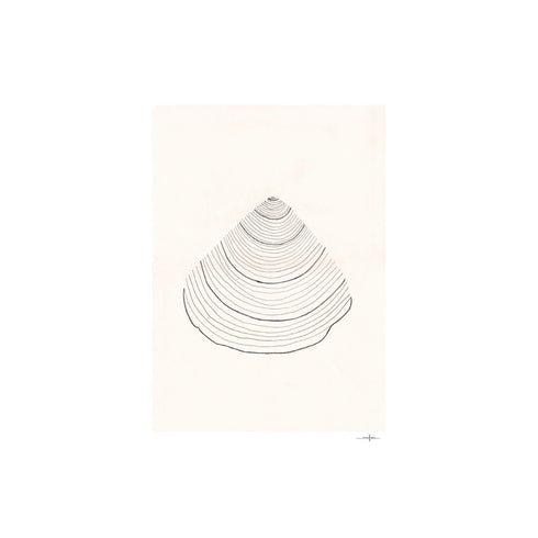 Art Print 30x40cm | Shell