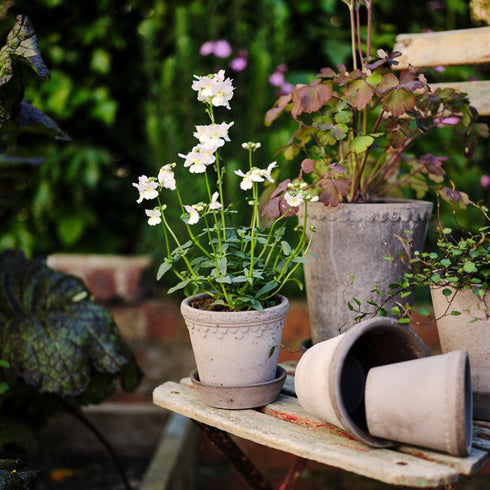Blumentopf Københavner classic | grau