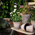 Blumentopf Københavner classic | grau