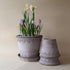 Blumentopf Københavner classic | grau