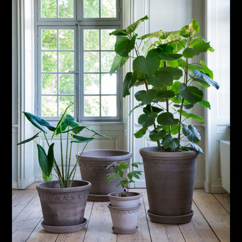 Blumentopf Københavner large | grau