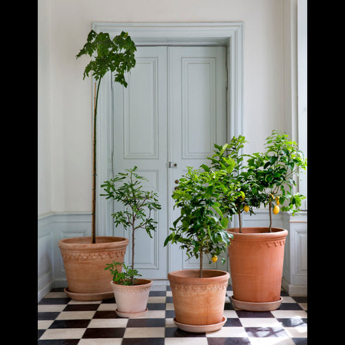 Blumentopf Københavner large | terracotta