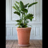 Blumentopf Københavner large | terracotta