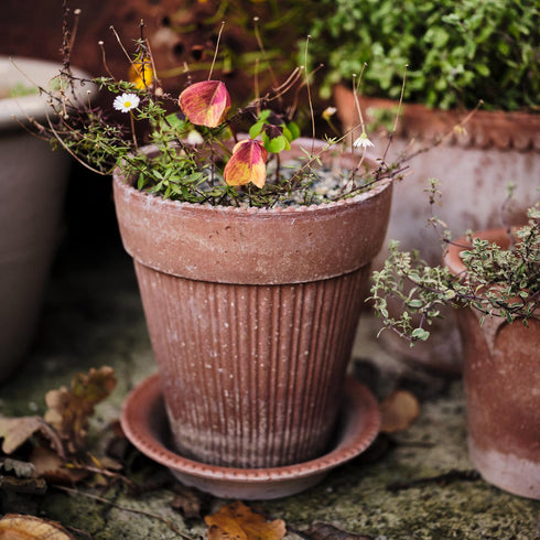 Blumentopf Simona | terracotta