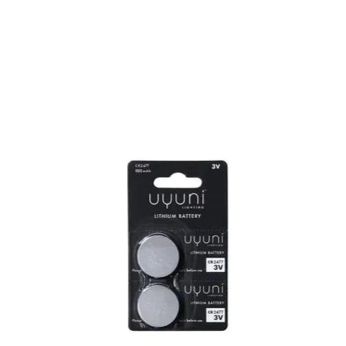 CR2477 Batterien