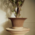 Blumentopf Daisy | terracotta