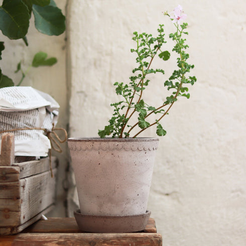 Blumentopf Helena classic | grau