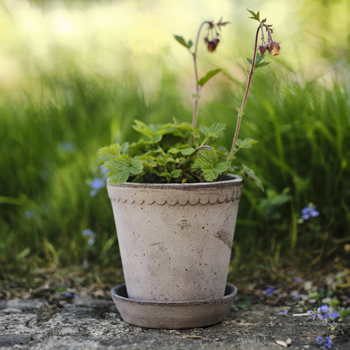 Blumentopf Helena classic | grau