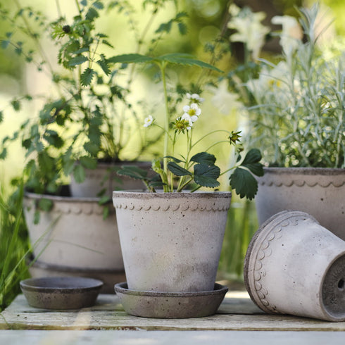 Blumentopf Helena classic | grau