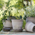 Blumentopf Helena classic | grau