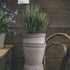 Blumentopf Helena classic | grau
