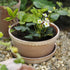 Blumentopf Helena low | terracotta
