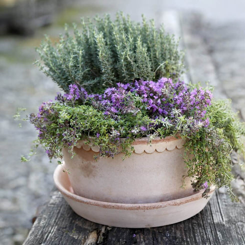 Blumentopf Helena low | terracotta