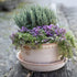 Blumentopf Helena low | terracotta