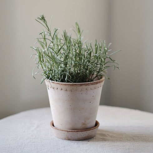 Blumentopf Helena classic | terracotta