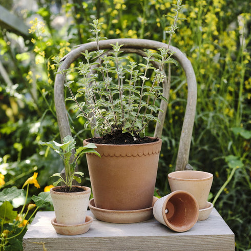 Blumentopf Helena classic | terracotta