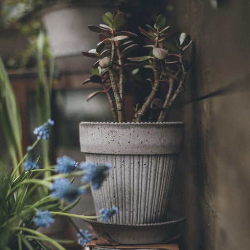 Blumentopf Simona | grau