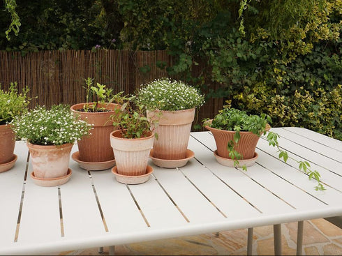 Blumentopf Simona | terracotta