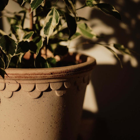Blumentopf Københavner classic | terracotta