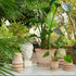 Blumentopf Københavner classic | terracotta