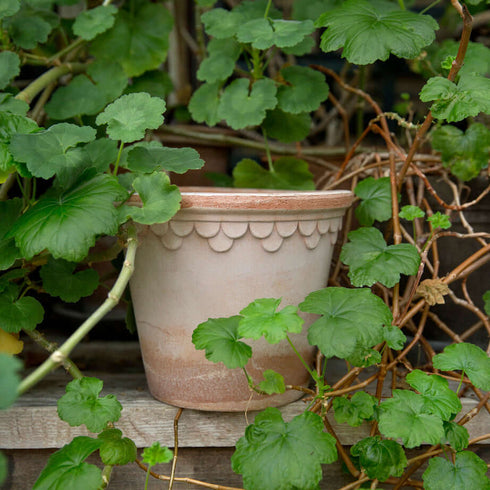Blumentopf Københavner classic | terracotta