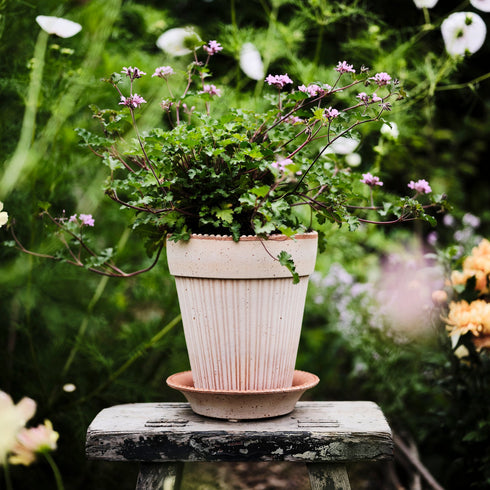 Blumentopf Simona | terracotta