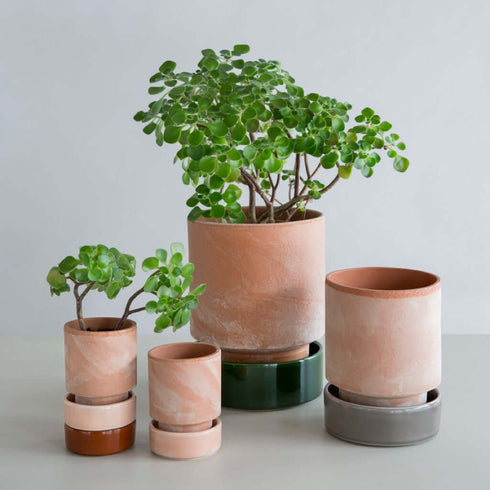 Unterteller für The Hoff Pot | quarz rose