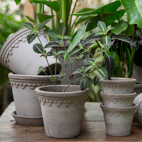 Blumentopf Københavner classic | grau