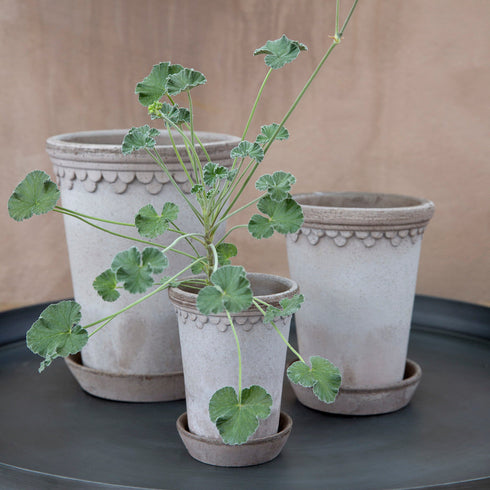 Blumentopf Københavner classic | grau