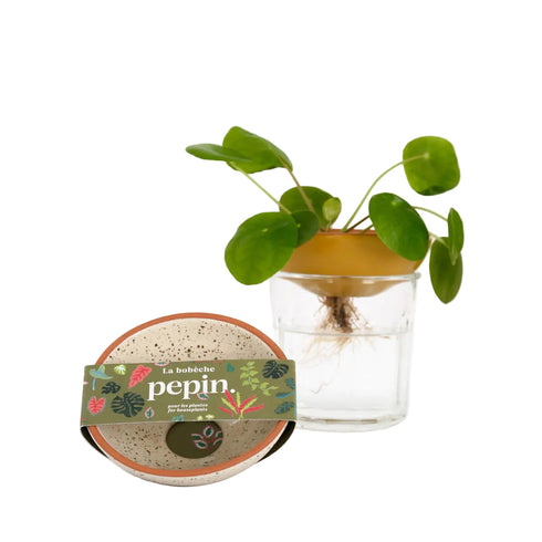 Pfanzen Bobèche | creme