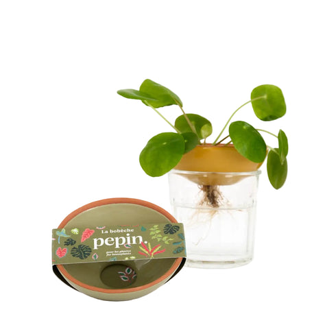 Pfanzen Bobèche | grün