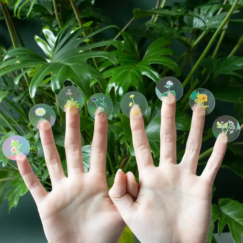 Regenbogen Maker mini | stay wild