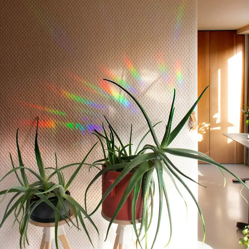 Regenbogen Maker mini | stay wild